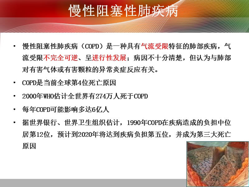 秋冬季哮喘及COPD（慢阻肺）的合理用药ppt.ppt_第3页