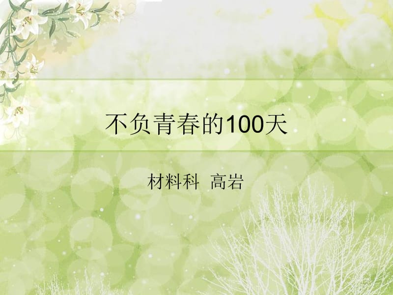 不负青春的100天 材料科 高岩.ppt_第1页