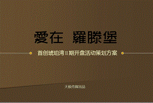 楼盘开盘活动策划方案别墅项目大型公关活动策划方案.ppt