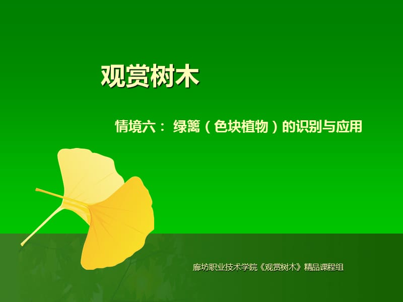 6绿篱（色块植物）的识别与应用.ppt_第1页