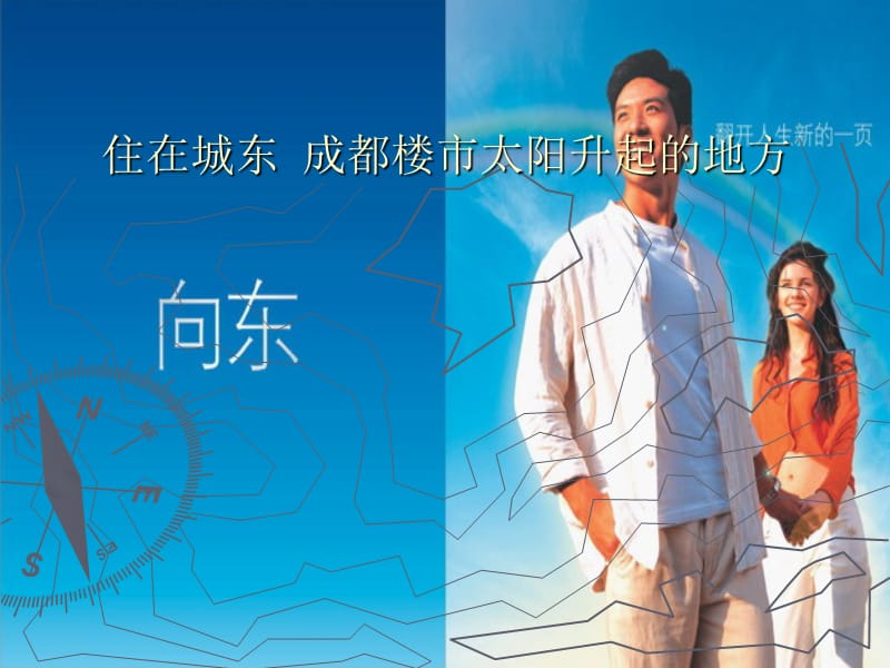 成都东方新城二期市场调查报告.ppt_第2页