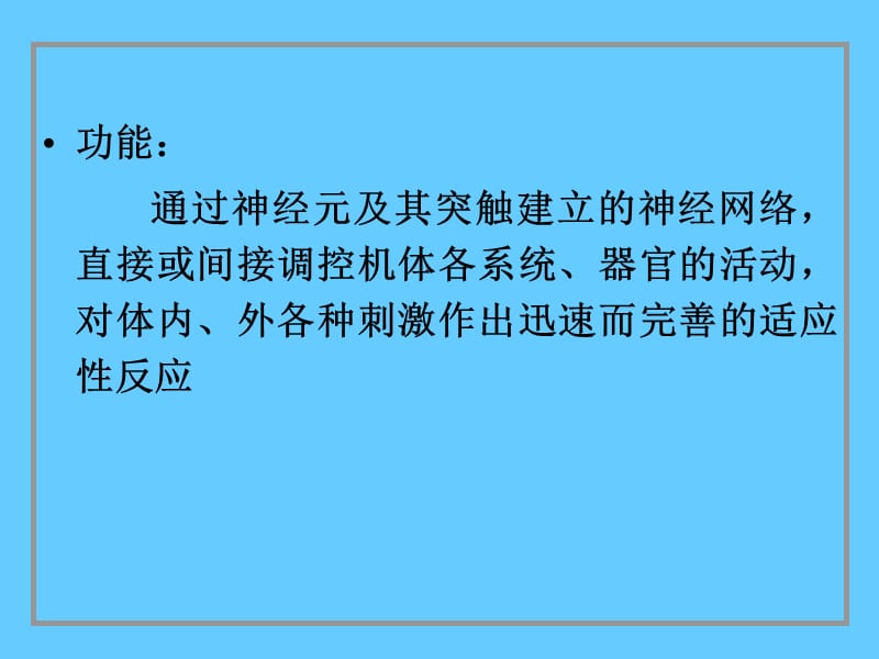 神经系统 PP课件.ppt_第2页