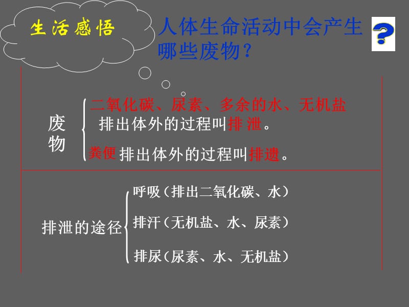 尿液的形成和排出PPT课件.ppt_第3页