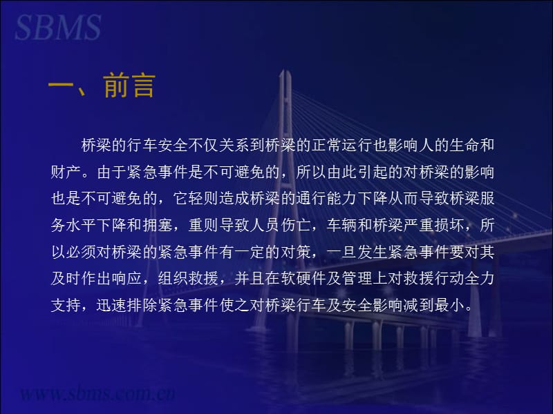 桥梁应急处置.ppt_第2页