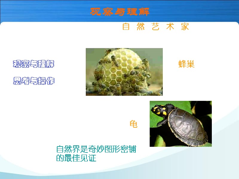 2019【初中小学必备资料】人教版数学小学五年级上册第六单元铺一铺ppt.ppt_第3页