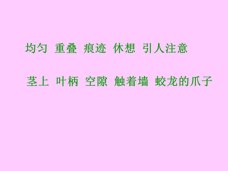 2019人教版四年级语文上册爬山虎的脚课件二.ppt_第3页