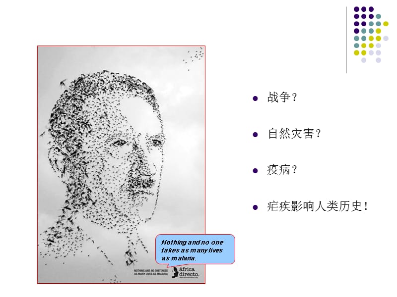 疟原虫形态武汉市疾病预防控制中心吴凯ppt课件.ppt_第2页