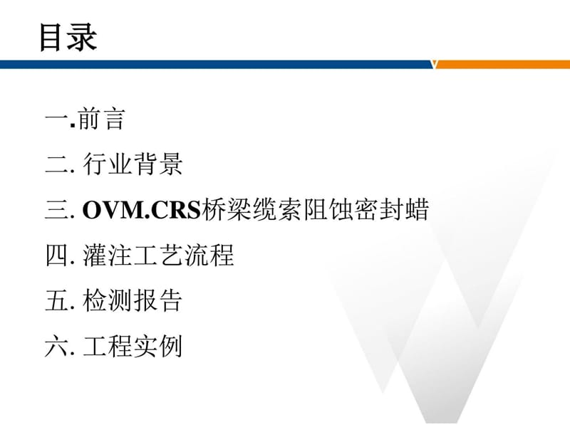 OVM.CRS桥梁缆索阻蚀密封蜡.ppt_第2页