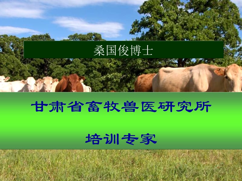 桑国俊肉牛产业技术培训--肉牛饲养管理技术.ppt_第1页