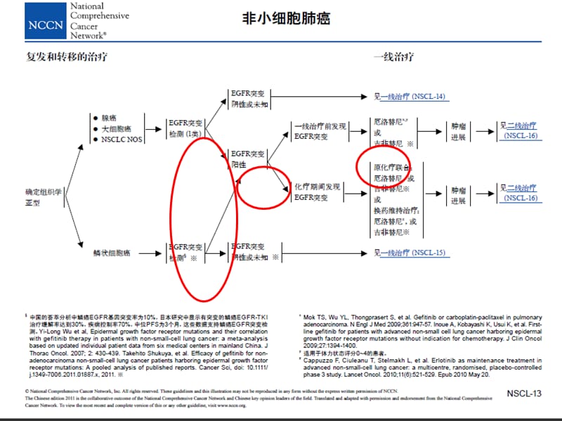 非小细胞肺癌的热点讨论-医学课件.ppt_第3页