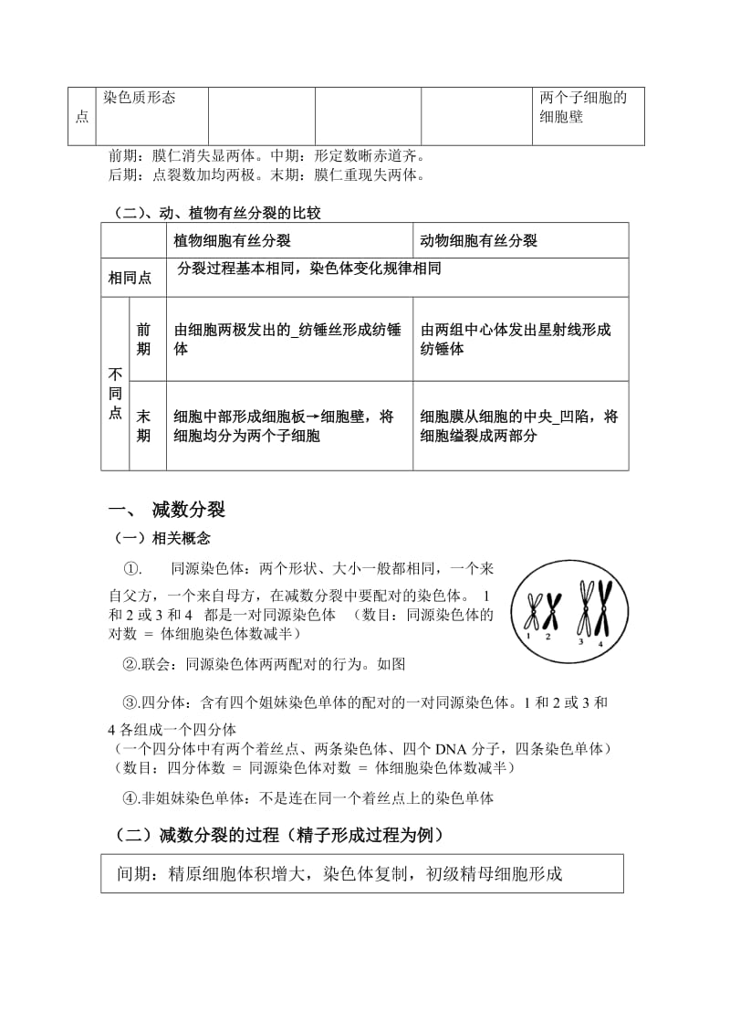 2019高中生物必修二有丝分裂减数分裂详尽分析.doc_第2页