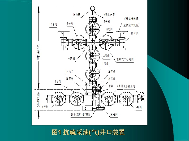 抗硫采油(气)井口装置(2).ppt_第3页