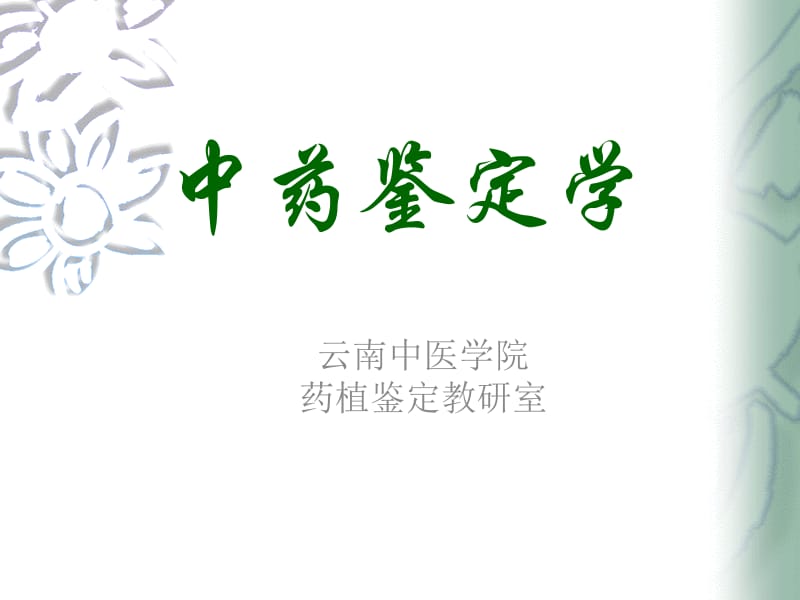 中药鉴定学ppt课件.ppt_第1页