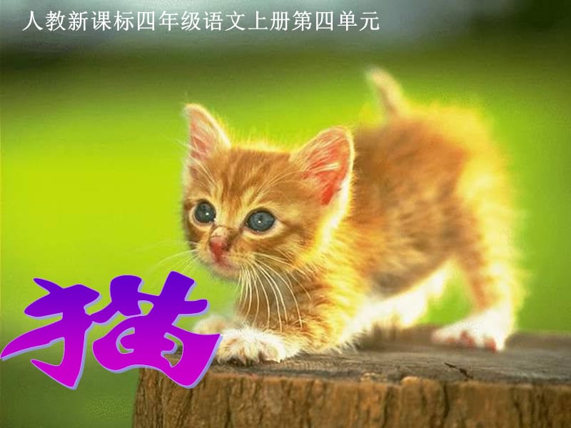 2019人教版四年级上册《猫》.ppt_第2页