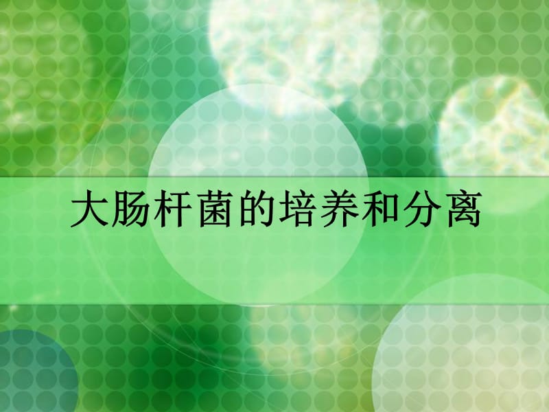 大肠杆菌的培养和分离PPT课件.ppt_第1页