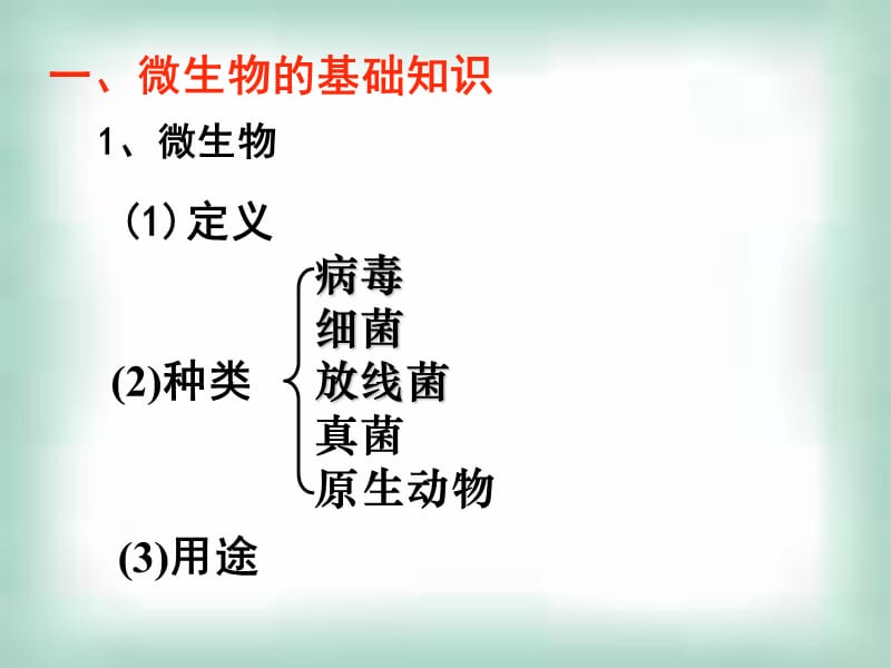 大肠杆菌的培养和分离PPT课件.ppt_第2页