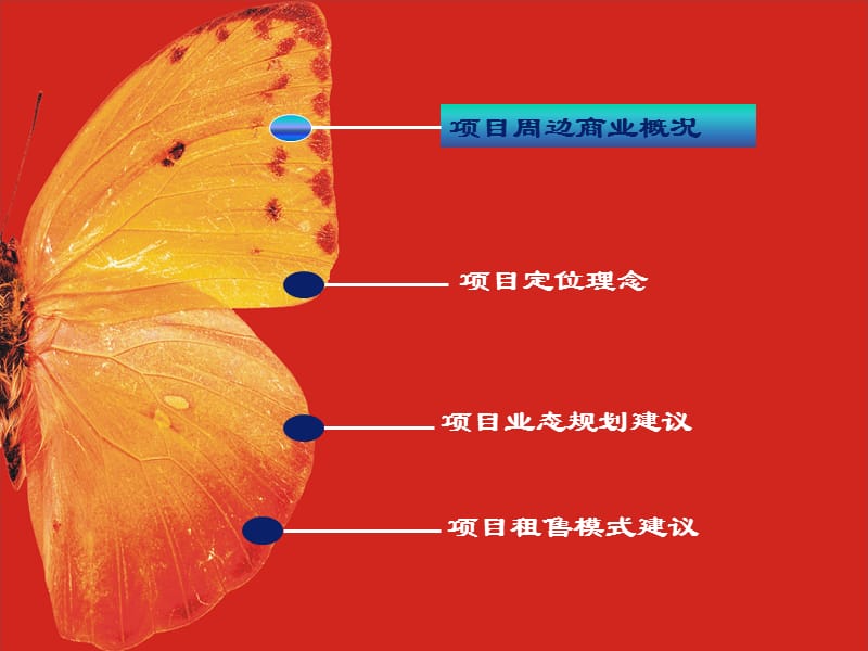 深圳中原信和自由广场商业策略案.ppt_第2页