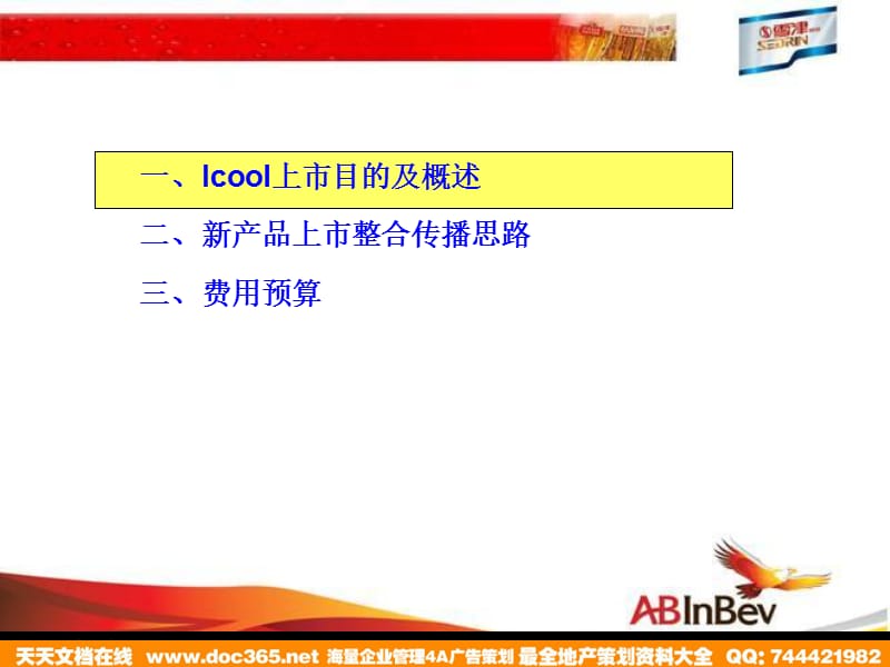 2009雪津Icool爱酷推广思路.ppt_第2页