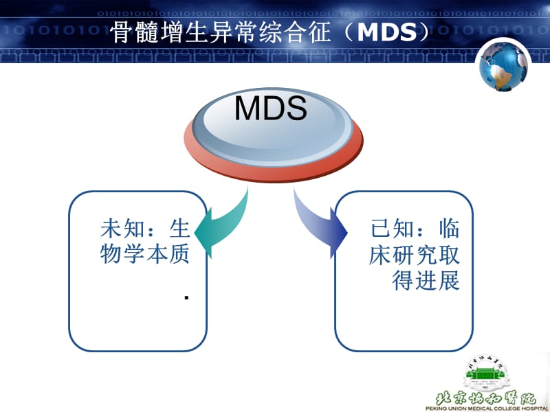 骨髓增生异常综合征的研究进展及其免疫调节治疗.ppt_第2页