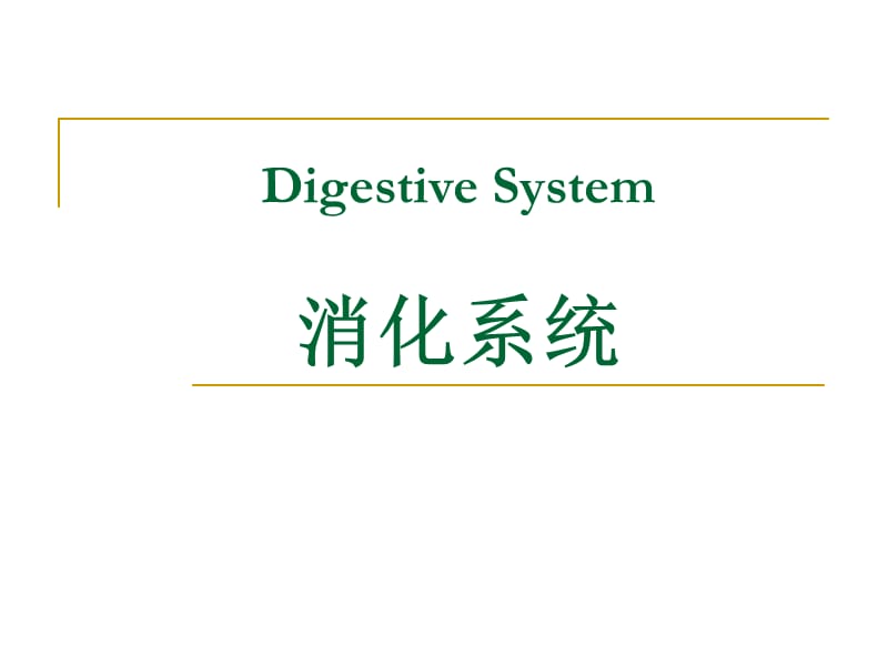 消化系统DigestiveSystemPPT课件.ppt_第1页