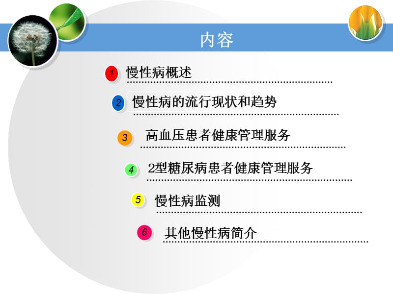 慢性病防治知识与管理技能.ppt_第2页