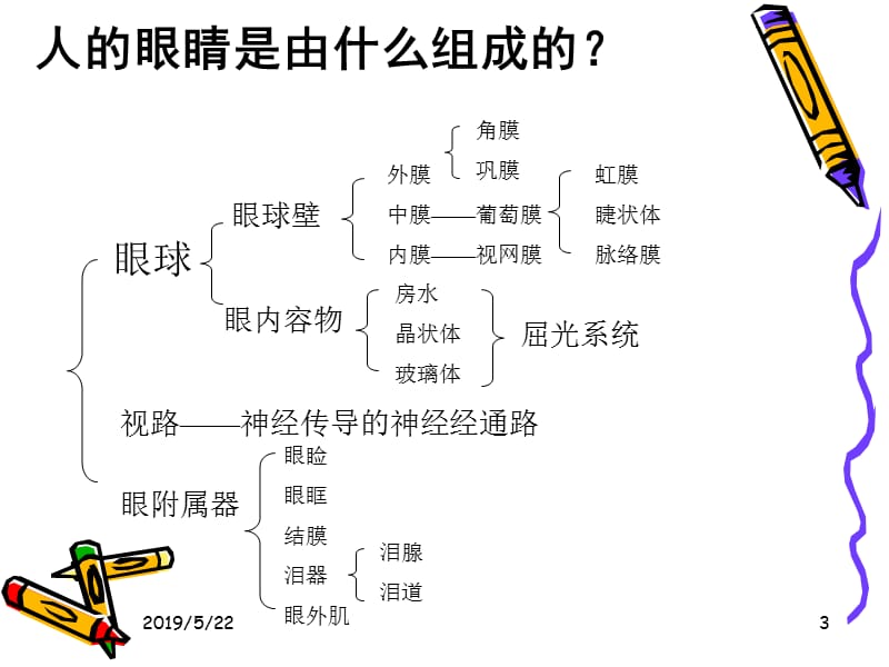 眼科基础知识PPT课件.ppt_第3页