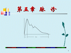 中医脉诊.ppt