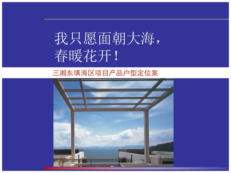 中原出品—深圳三湘东填海区项目户型定位报告81页.ppt_第1页