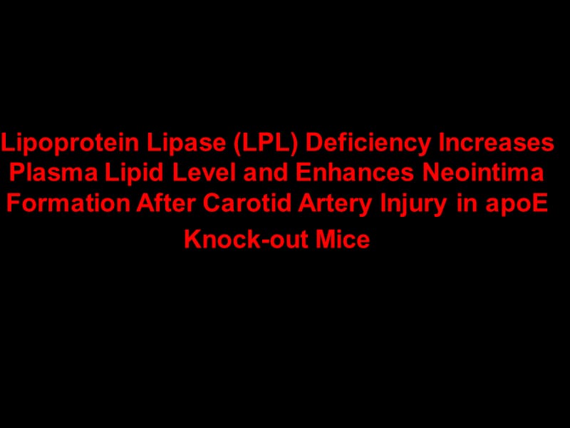 建立基因敲除小鼠颈动脉粥样硬化模型（英文）PPT课件.ppt_第1页