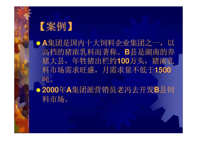 新市场开发经销商十一步案例.ppt_第2页