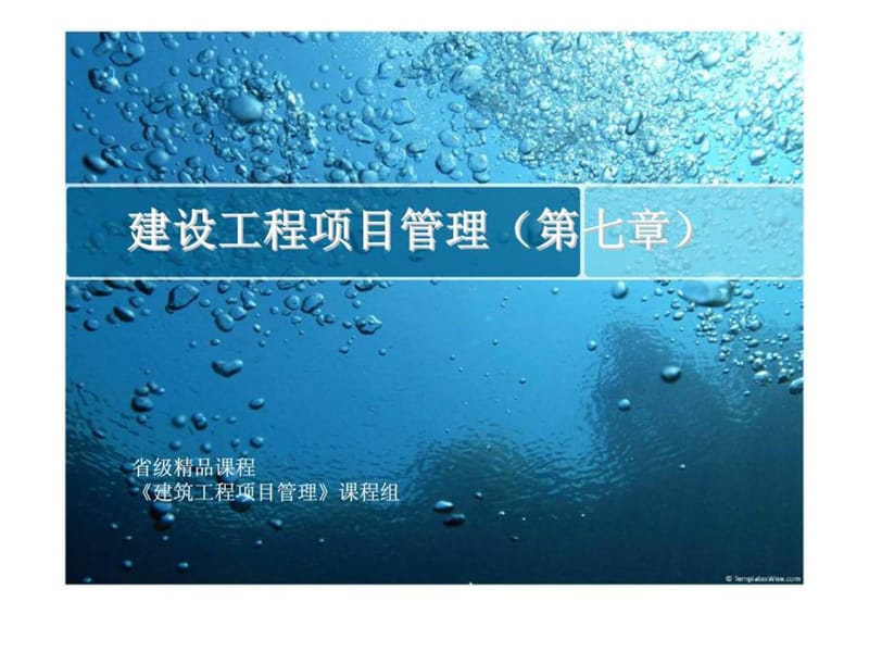 建筑工程项目管理 第七章 建筑工程施工组织.ppt_第1页