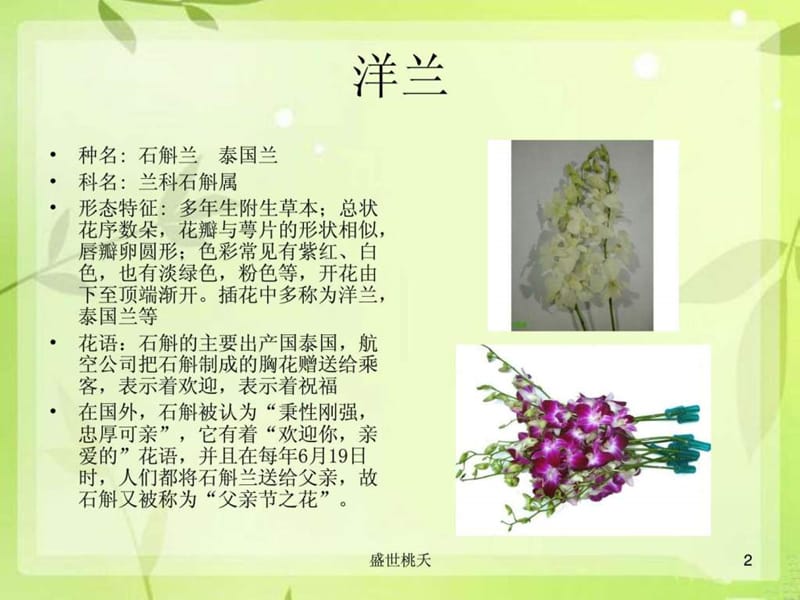 常见插花花材130种(1).ppt_第2页