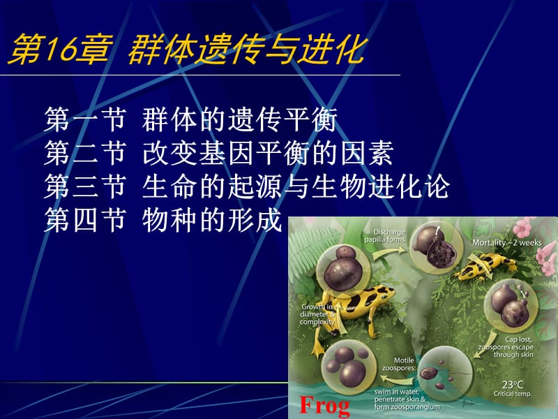 普通遗传学第十六章 群体遗传与进化.ppt_第1页