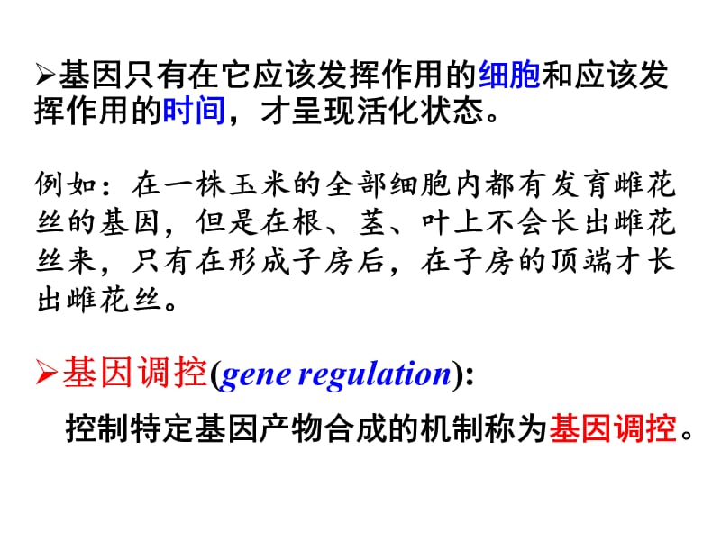 普通遗传学第十四章 基因表达的调控.ppt_第2页