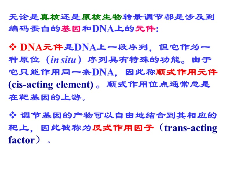 普通遗传学第十四章 基因表达的调控.ppt_第3页