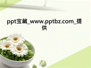 澹雅小盘菊花.ppt