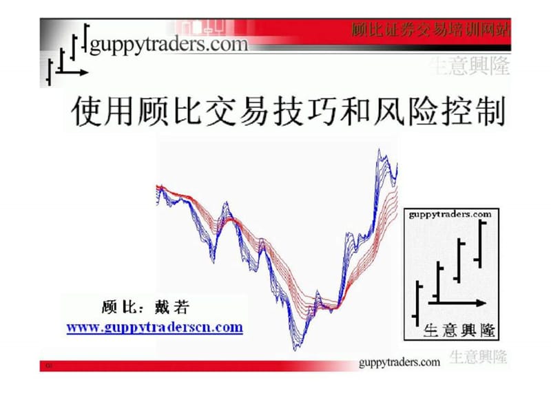 戴若·顾比2005中国报告会.ppt_第2页