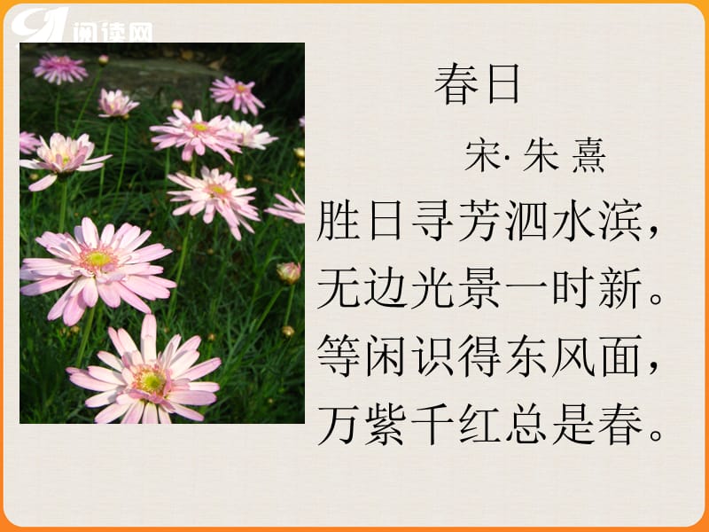 春日宋朱熹胜日寻芳泗水滨无边光景一时新等闲识.ppt_第1页