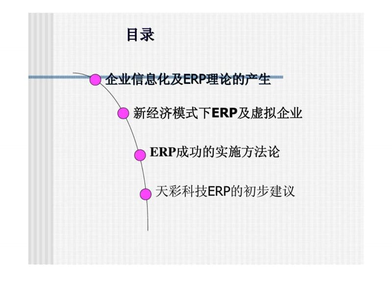 新经济模式下的虚拟企业erp(企业资源规划）系统.ppt_第2页