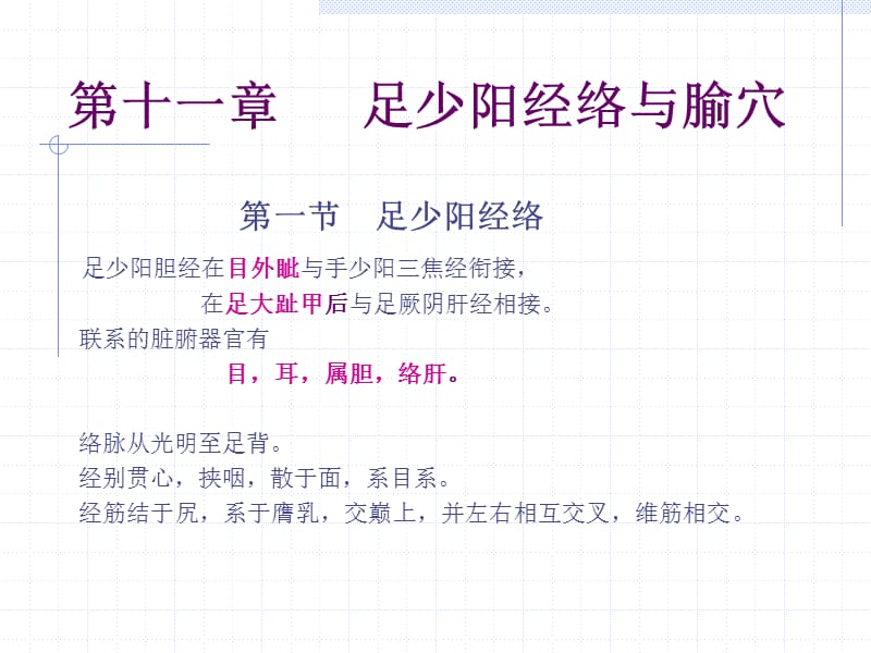 胆经ppt课件.ppt_第1页