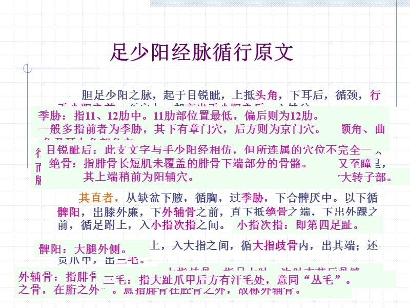 胆经ppt课件.ppt_第2页