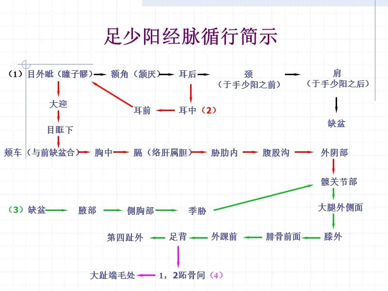 胆经ppt课件.ppt_第3页