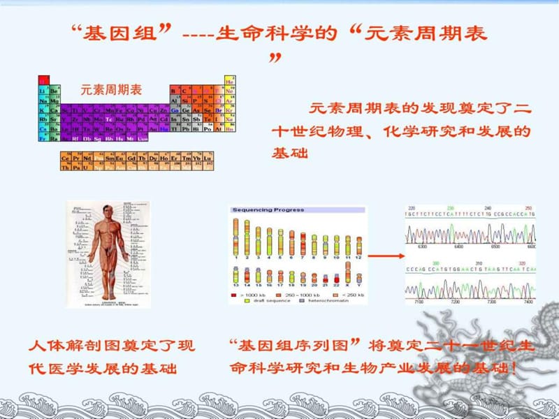 基因组测序的原理与方法(2).ppt_第2页