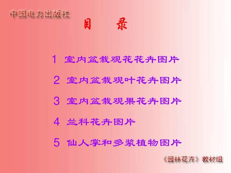 室内盆栽花卉图片总.ppt_第2页