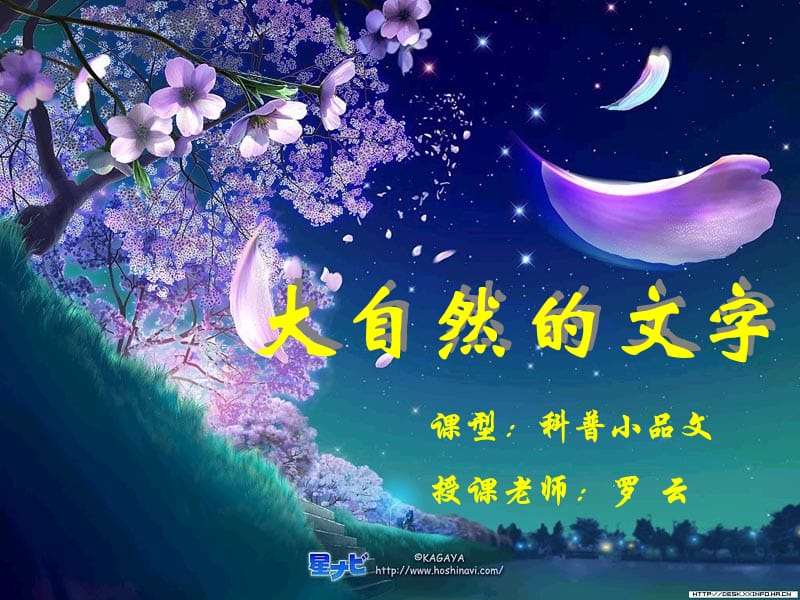 大自然的文字.ppt_第1页