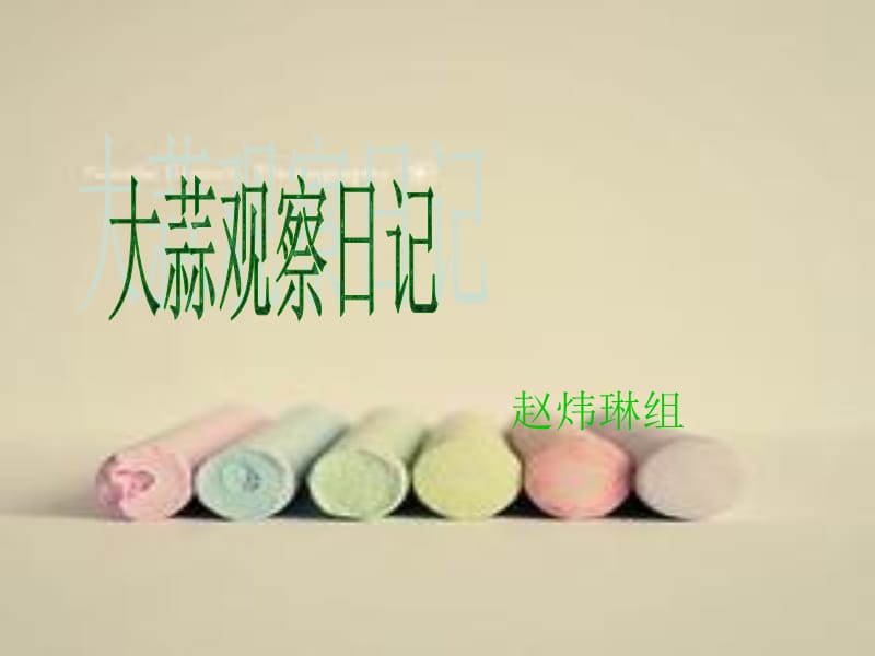 春的日记赵组.ppt_第1页