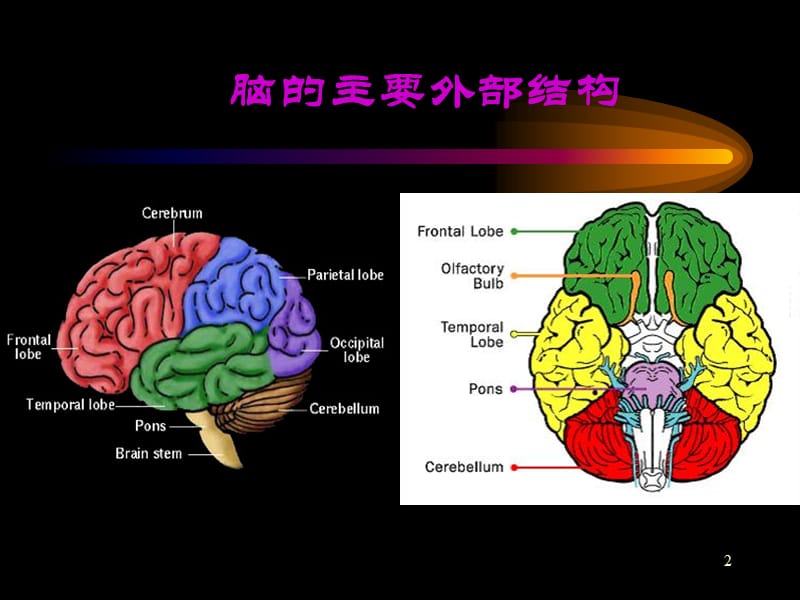 神经系统核医学显像ppt课件.ppt_第2页