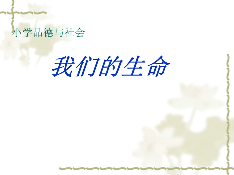 2019年《我们的生命》PPT课件.ppt_第1页