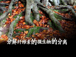 一纤维素和纤维素酶.ppt