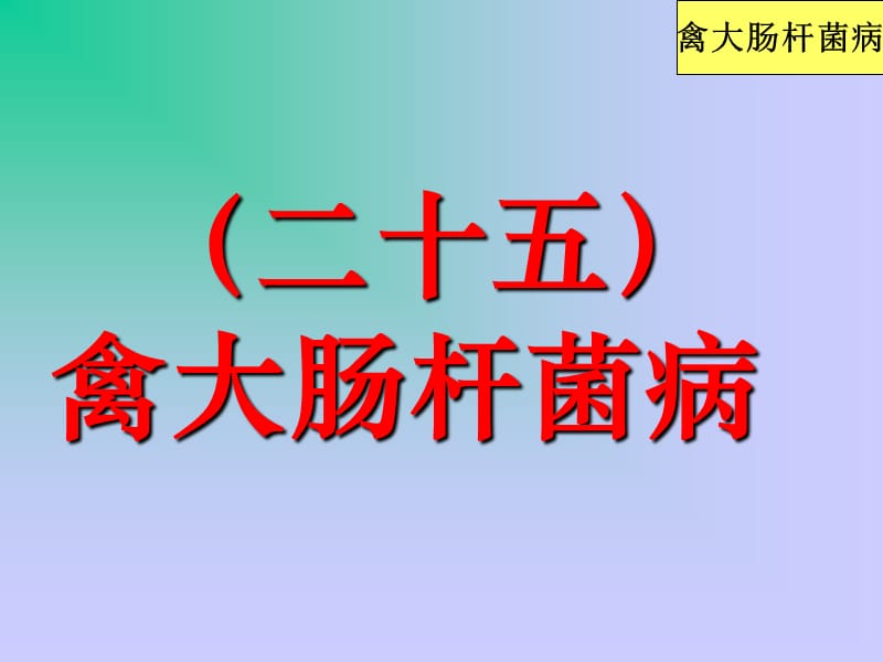 精品课件《禽病学》（完整版）25禽大肠杆菌病.ppt_第1页